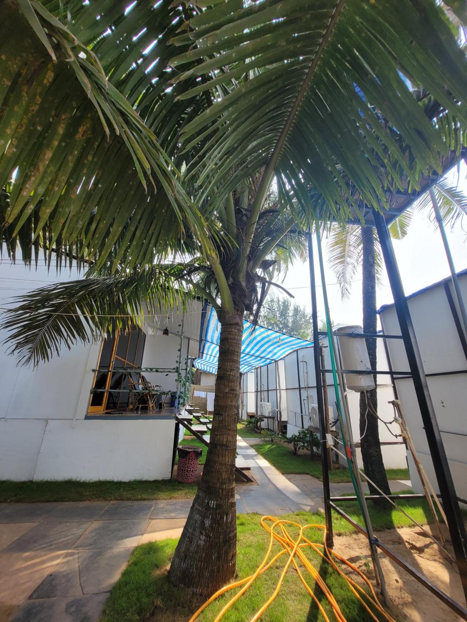 Kashinath Beach Huts Agonda Kültér fotó